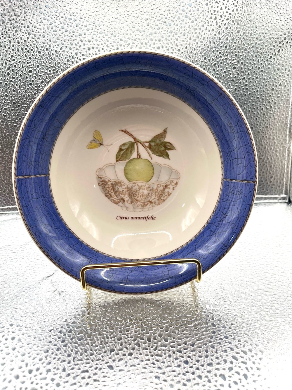 WEDGEWOOD Sarah's Garden Queensware Blue-rimmed Cereal/Soup Bowl 6.75 in. (D)